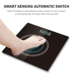 CB501 100g High Precision Body Scale