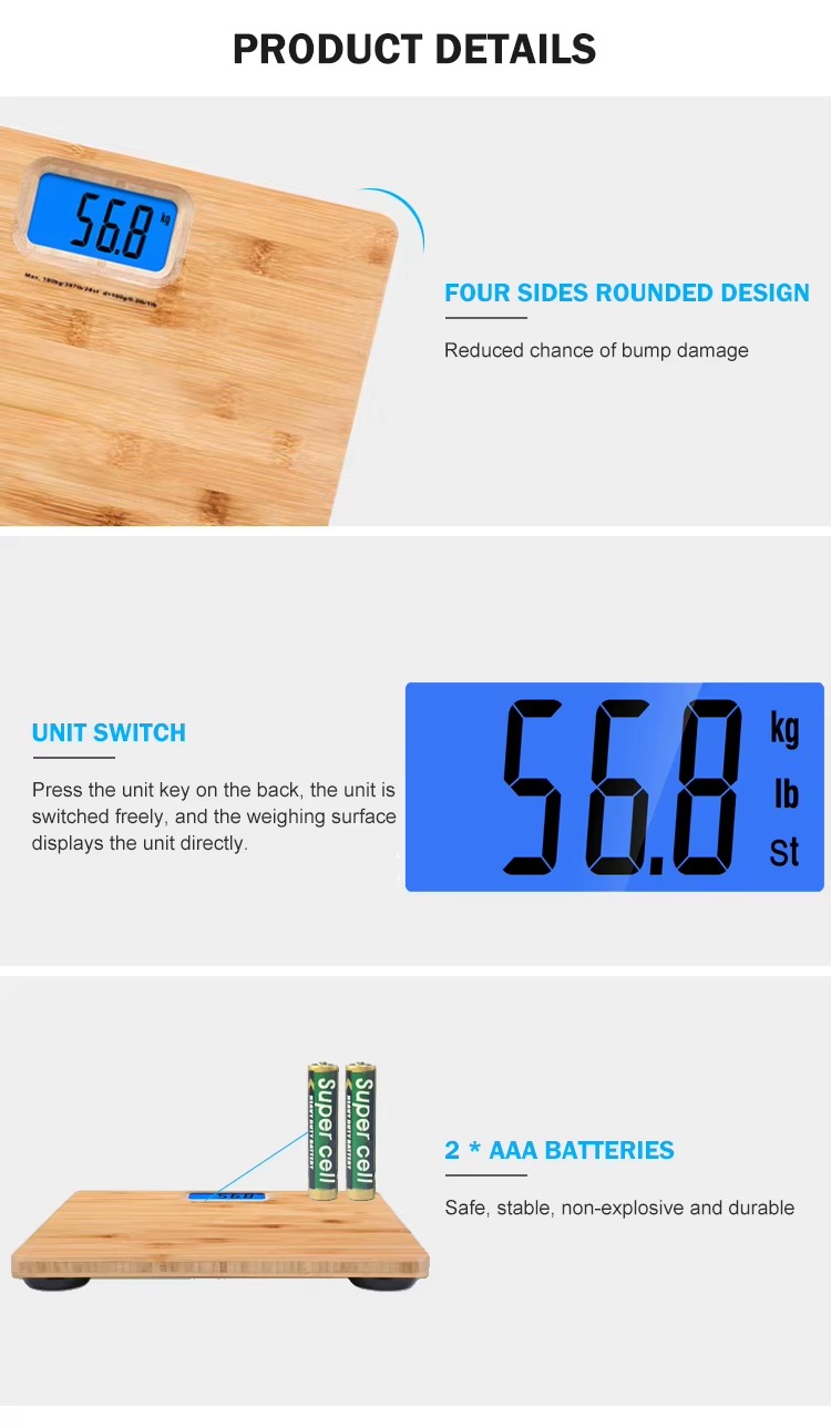 CB502 Large Screen LCD Body Scale